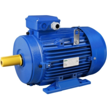 IE2 High Efficiency Cast Iron Housing Three-Phase AC Electric Motor